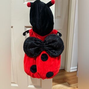Baby Ladybug Costume 18M